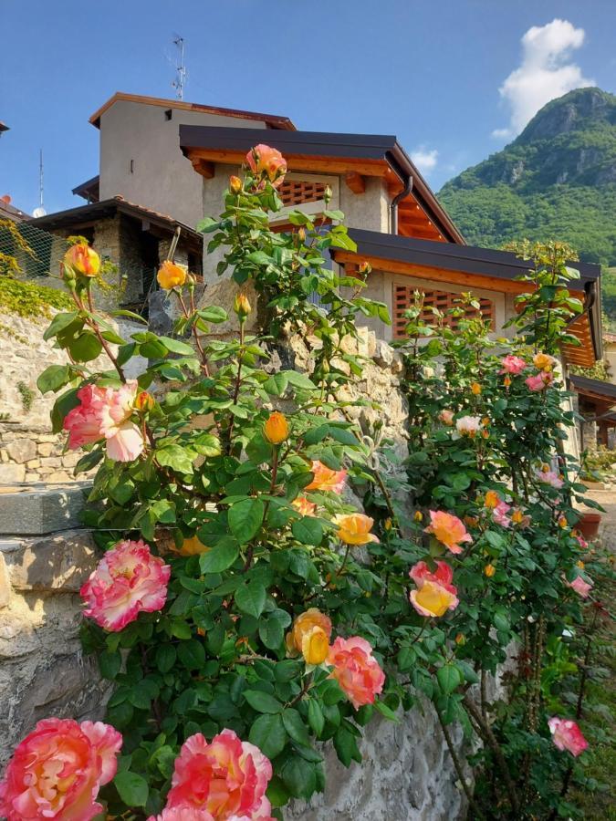 Our Happy Place - Casa Vacanze Per Il Viaggiatore Slow マンデッロ・デル・ラーリオ エクステリア 写真